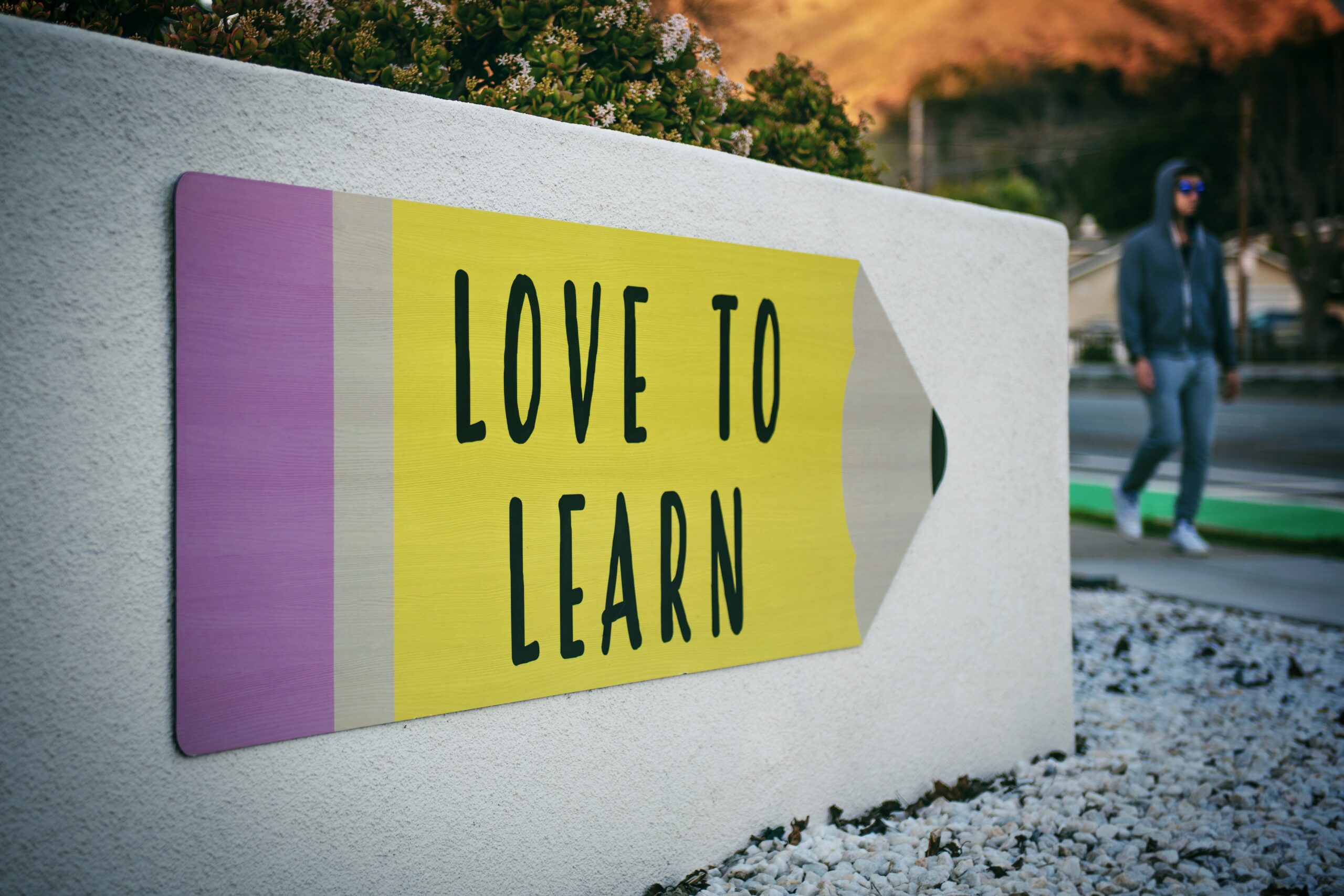 Digital Marketing Training - Love to learn